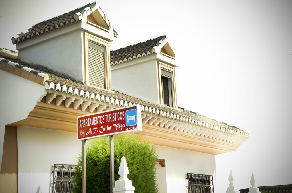 Apartamentos Turisticos Cullar Vega Buitenkant foto